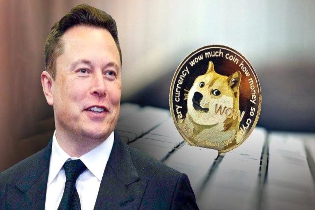 Elon Musk'tan Tweet! Dogecoin Twitter'a gelebilir! 65