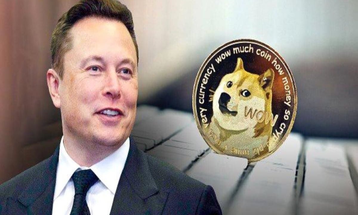 Elon Musk'tan Tweet! Dogecoin Twitter'a gelebilir! 1 elon musk tweet atti dogecoin cok yakin twittera gelebilir