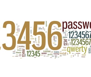 En çok kullanılan şifre