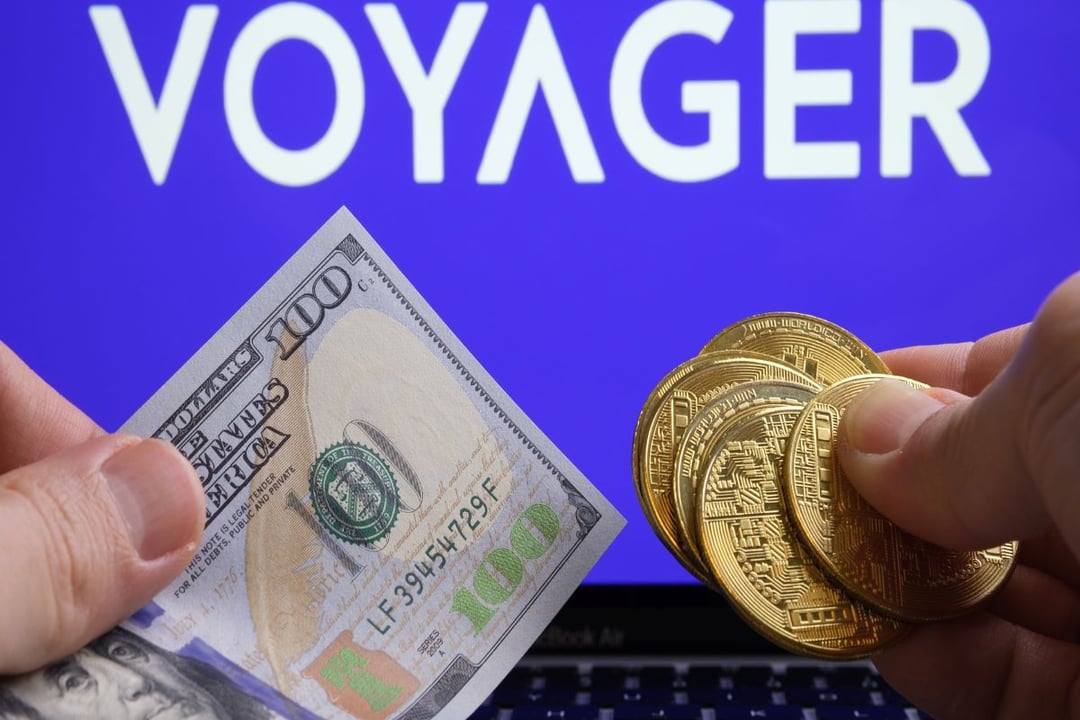 Binance Voyager'i satın mı alıyor? 65