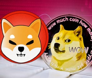 Shiba Inu fiyatı Dogecoin karşısında rekor seviyeye düştü