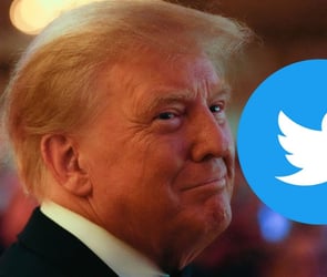 Elon Musk Donald Trump'ın Twitter yasağını kaldırdı