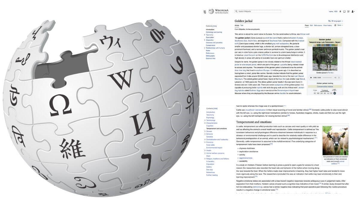 Wikipedia'da 12 yılın ardından arayüz değişikliğine gidildi 65