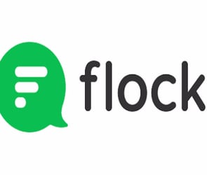 Flock yatırım aldı