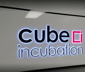 Cube incubation afet girişimi