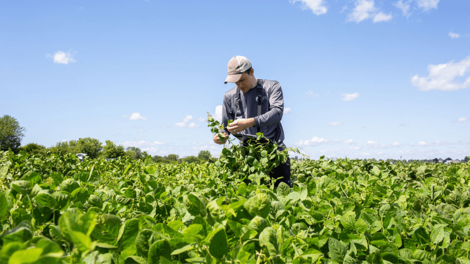 Yerli tarım teknoloji girişimi ForFarming, Founder One’dan 3 milyon TL yatırım aldı.