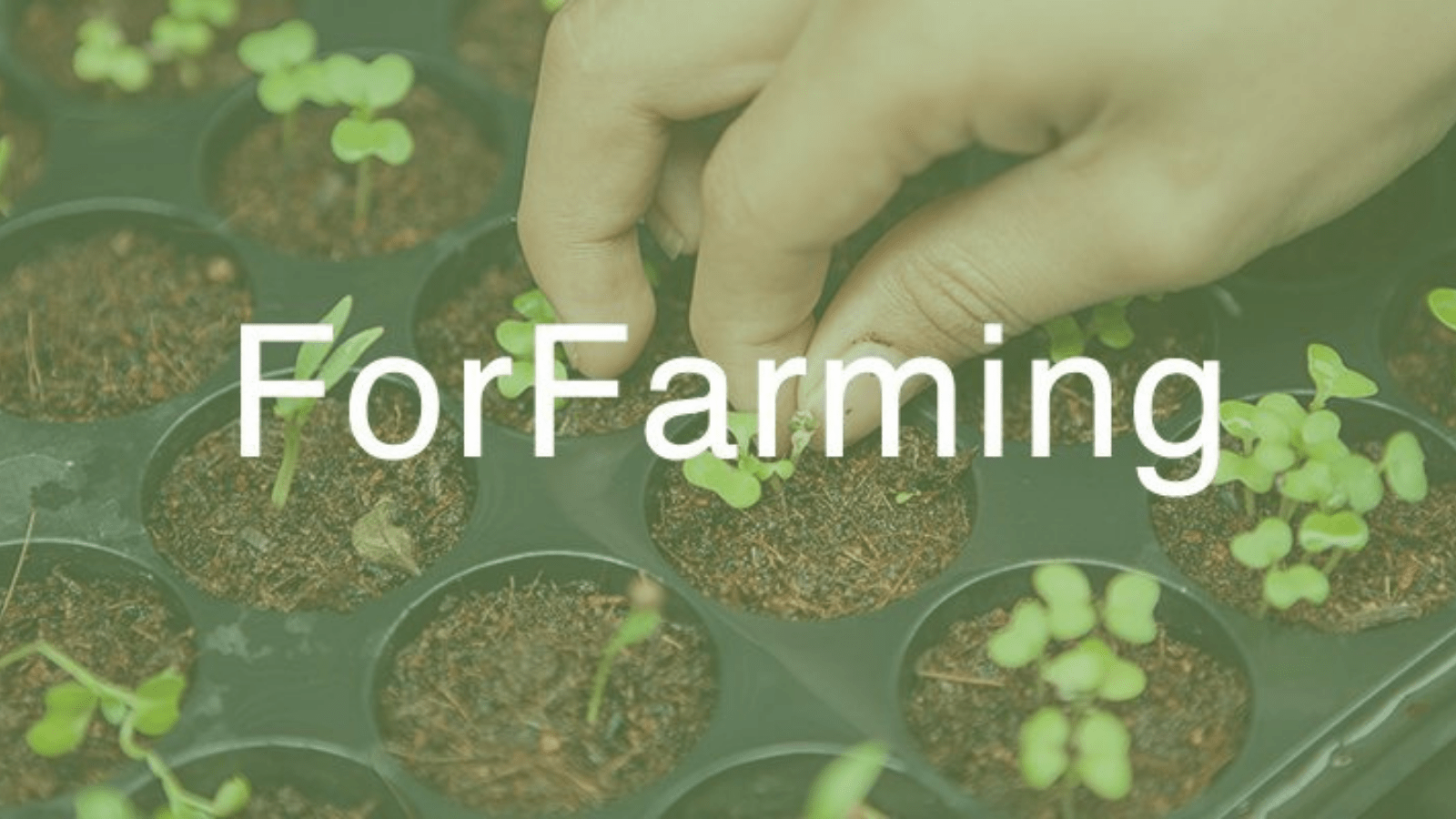 ForFarming, 3 milyon TL yatırım aldı.