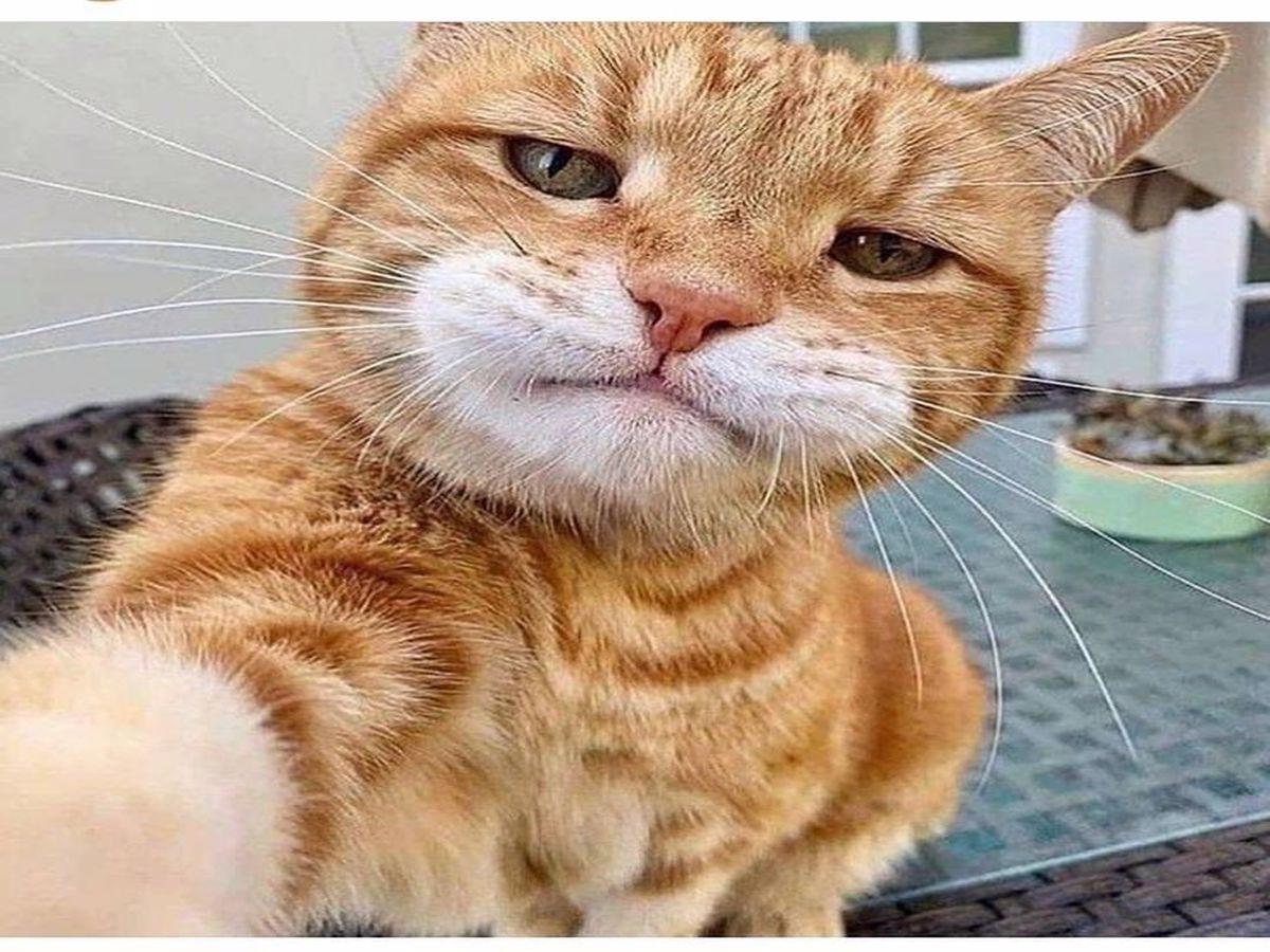 WhatsApp profil fotoğrafı önerileri 8 ddc 1200x900 1