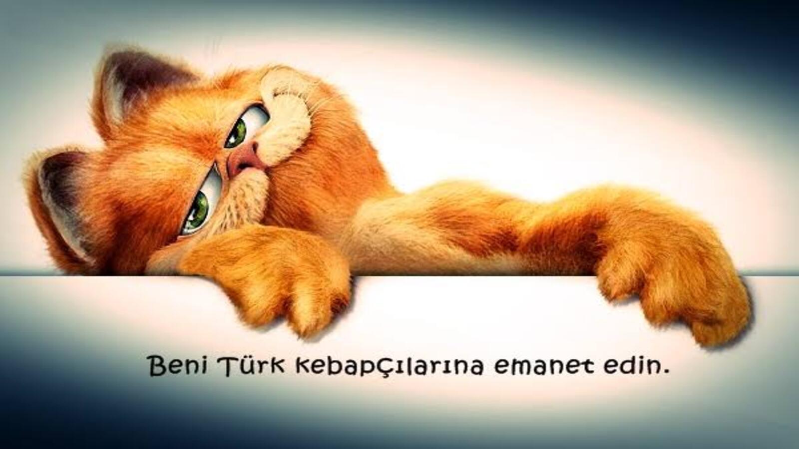 En güzel WhatsApp biyografi sözleri 71 Komik WhatsApp durum sözleri