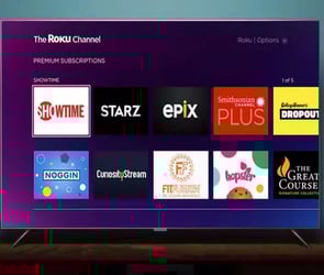 Dijital medya oynatıcıları serisi olan Roku; Lauren Riihimaki, Brad Monda, Emmy Cho, Karina Garcia ve çok daha fazla sayıda 17 popüler Youtube ve TikTok içerik üreticisinin yer aldığı yeni bir içeriği piyasaya
