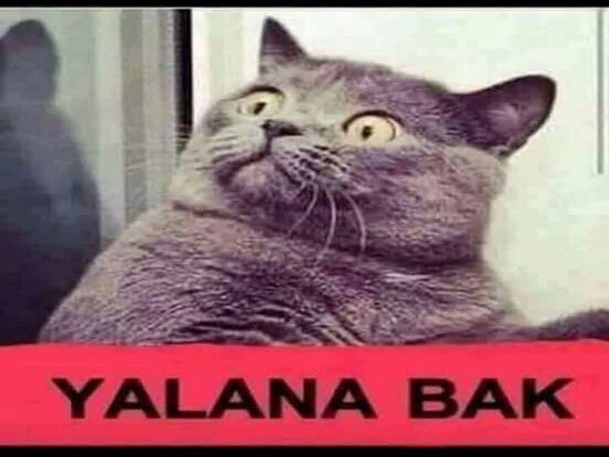 WhatsApp profil fotoğrafı önerileri 5 vv 1200x900 1