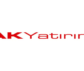 Ak Yatırım, kripto para platformu Stablex'i satın alıyor