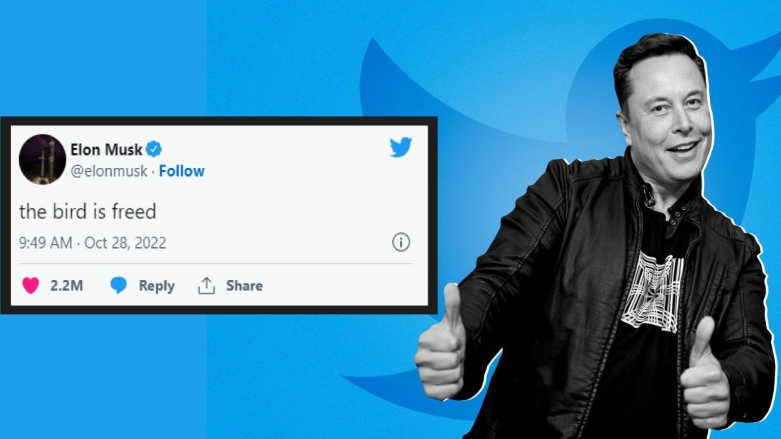 Elon Musk The new owner of Twitt