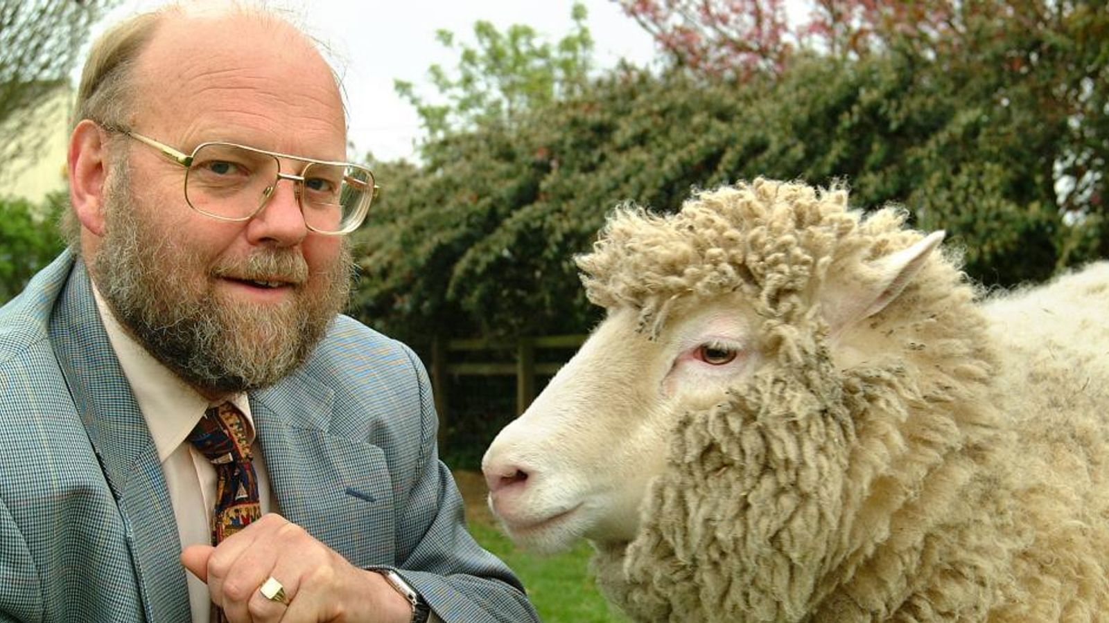 Koyun Dolly’yi Klonlayan Embriyolog Sir Ian Wilmut Hayatını Kaybetti 67 Koyun ve Wilmut