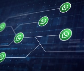 WhatsApp uygulama içinde reklam gösterimini sağlamak için çalışmalara devam ediyor