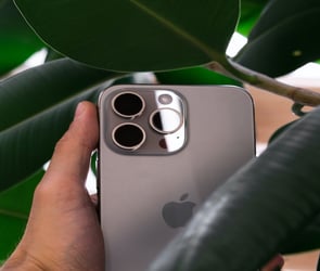 yapraklar arasında iphone 15 pro