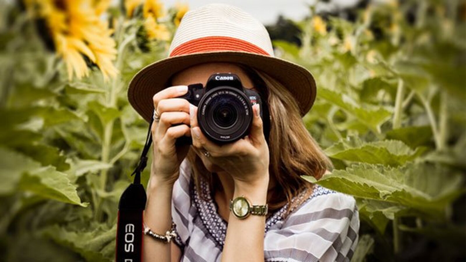 Yapay zekâ Algoritmaları Fotoğrafları Biçimlendiriyor!