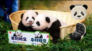 Samsung’dan Panda Sevenlere Özel Sürpriz: “ Galaxy Buds ‘Twin Bao’ ”