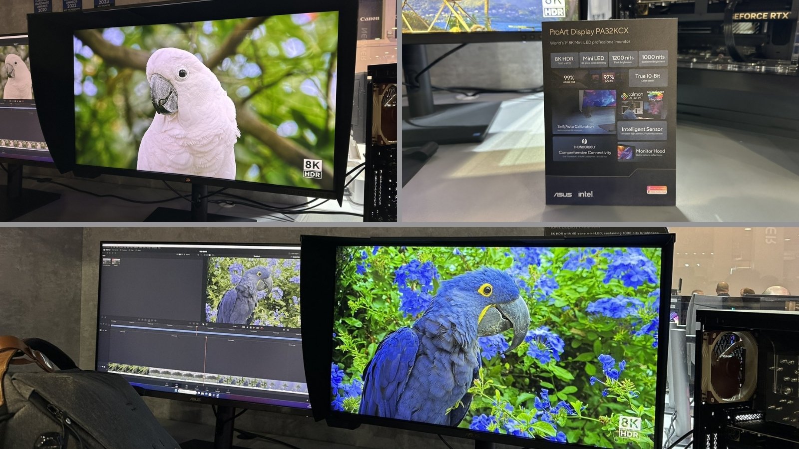Asus Dünyada İlk 8K mini-LED Monitörü Tanıttı 2 Asus Dünyada İlk 8K mini-LED Monitörü Tanıttı