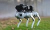 Alev Makineli Koruyucu Robot Köpek Thermonator Satışta