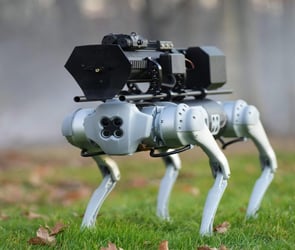 Alev Makineli Koruyucu Robot Köpek, Thermonator Satışta!