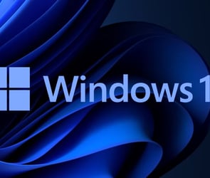 Windows 11