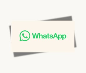 WhatsApp'ın Mavi Tikleri İlk Kez Görüntülendi