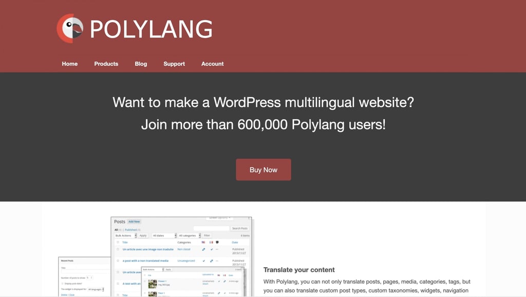 Polylang translation plugin