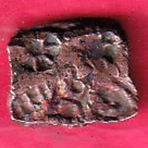 ancient india central copper punchmark ujjainy symbol on coin sk 323