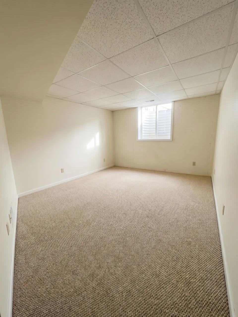 Empty narrow basement with beige carpet, off-white walls, drop ceiling tiles and a small egress window on the far wall.