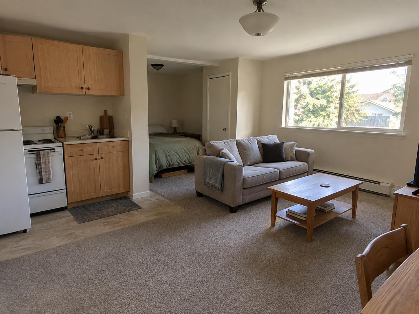 Compact studio living area with light-gray sofa, wooden coffee table, kitchenette to left and bed alcove in back