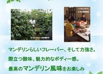 マンデリン ビンタンリマ インドネシア　250ｇ