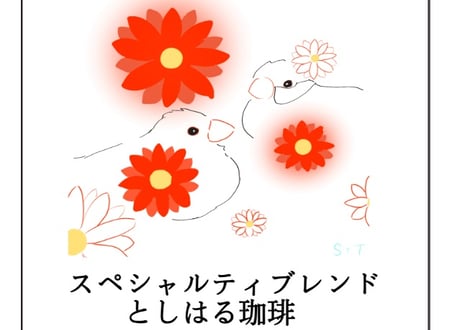 ドリップパック  ガーベラ  文鳥