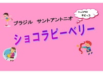 ブラジル サンアントニオ ショコラ ピーベリー250g