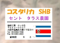 コスタリカ  SHB セントタラス  250g