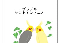 ブラジル サンアントニオ ショコラ ピーベリー　ドリップパック　1個