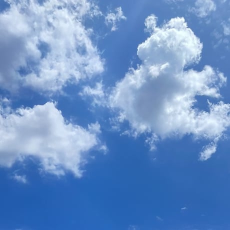 青空を、ひとくちに。