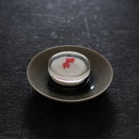 琉金（リュウキン）