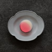秋茜