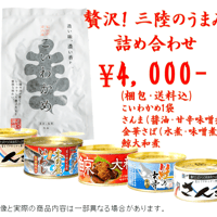 三陸のうまみ詰め合わせ ４０　貴重な金華さば入り！