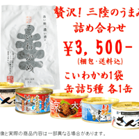 三陸のうまみ詰め合わせ ３５