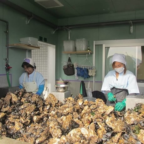 宮城・鹿立浜産 牡蠣『むき身』 ５００ｇ