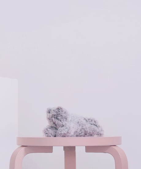 chocoshoe online store