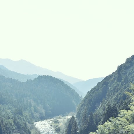 水 / 特別栽培ほうじ茶