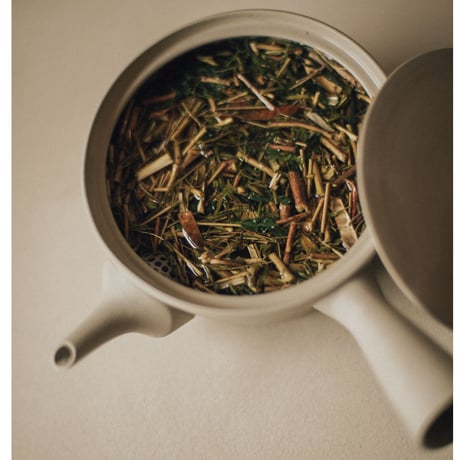 南景製陶園 / Sencha 320 急須 / 白練