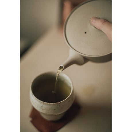 南景製陶園 / Sencha 320 急須 / 白練