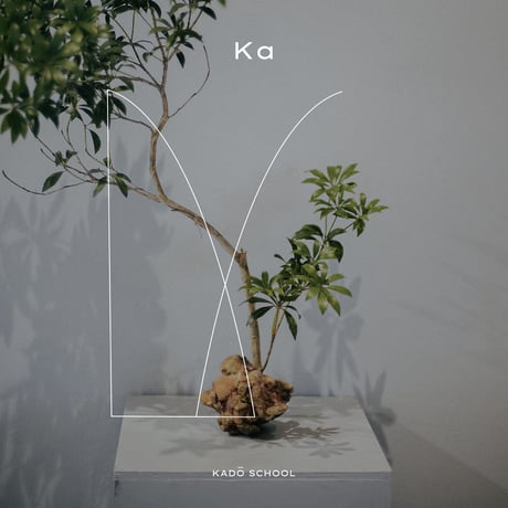 ITEM | cont _ sheepstore