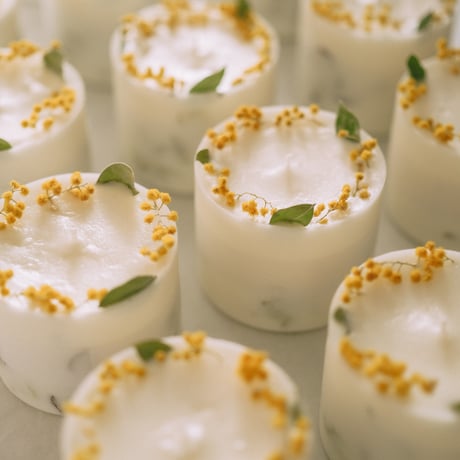 sheep/BOTANICAL SOY CANDLE（ミモザ）
