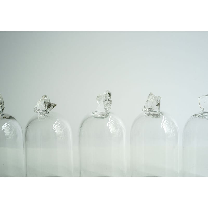 sheep/GLASS DOME | cont _ sheepstore