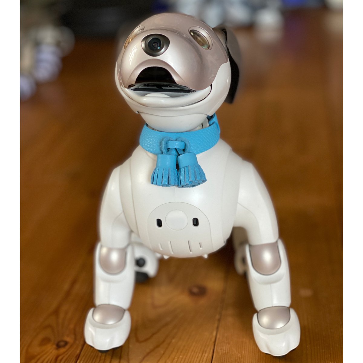 限定品】aiboのタッセルカラー／トリヨン | abi